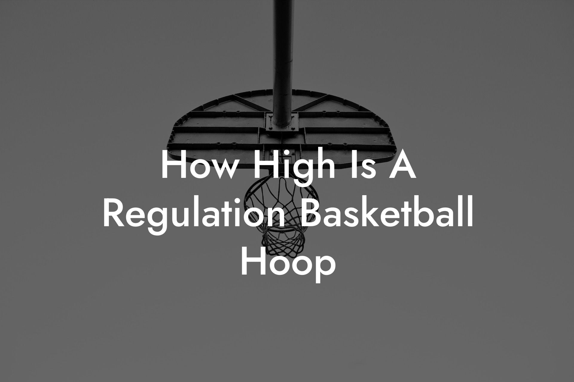 How High Is A Regulation Basketball Hoop Coach Alex Basketball