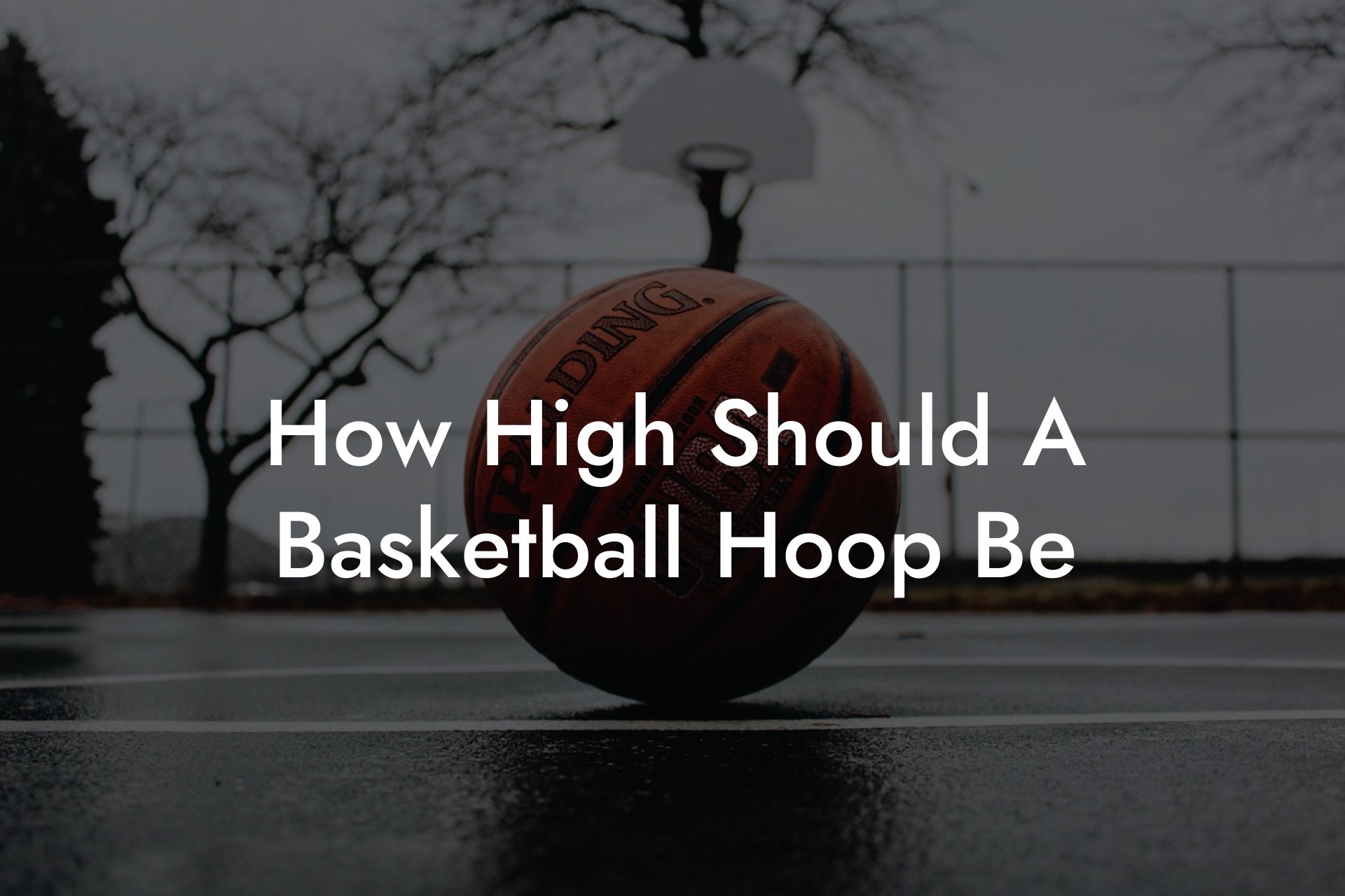 How High Should A Basketball Hoop Be Coach Alex Basketball Coaching