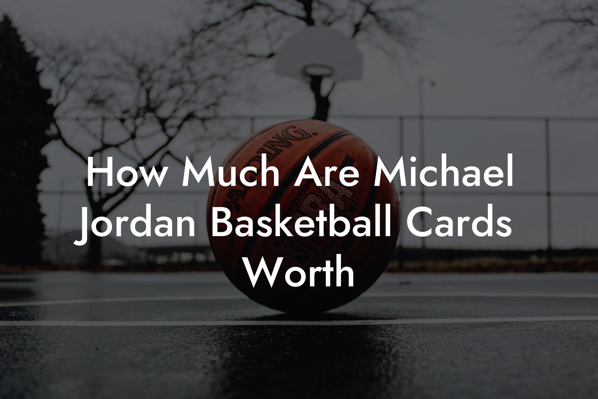 how much for michael jordan basketball cards
