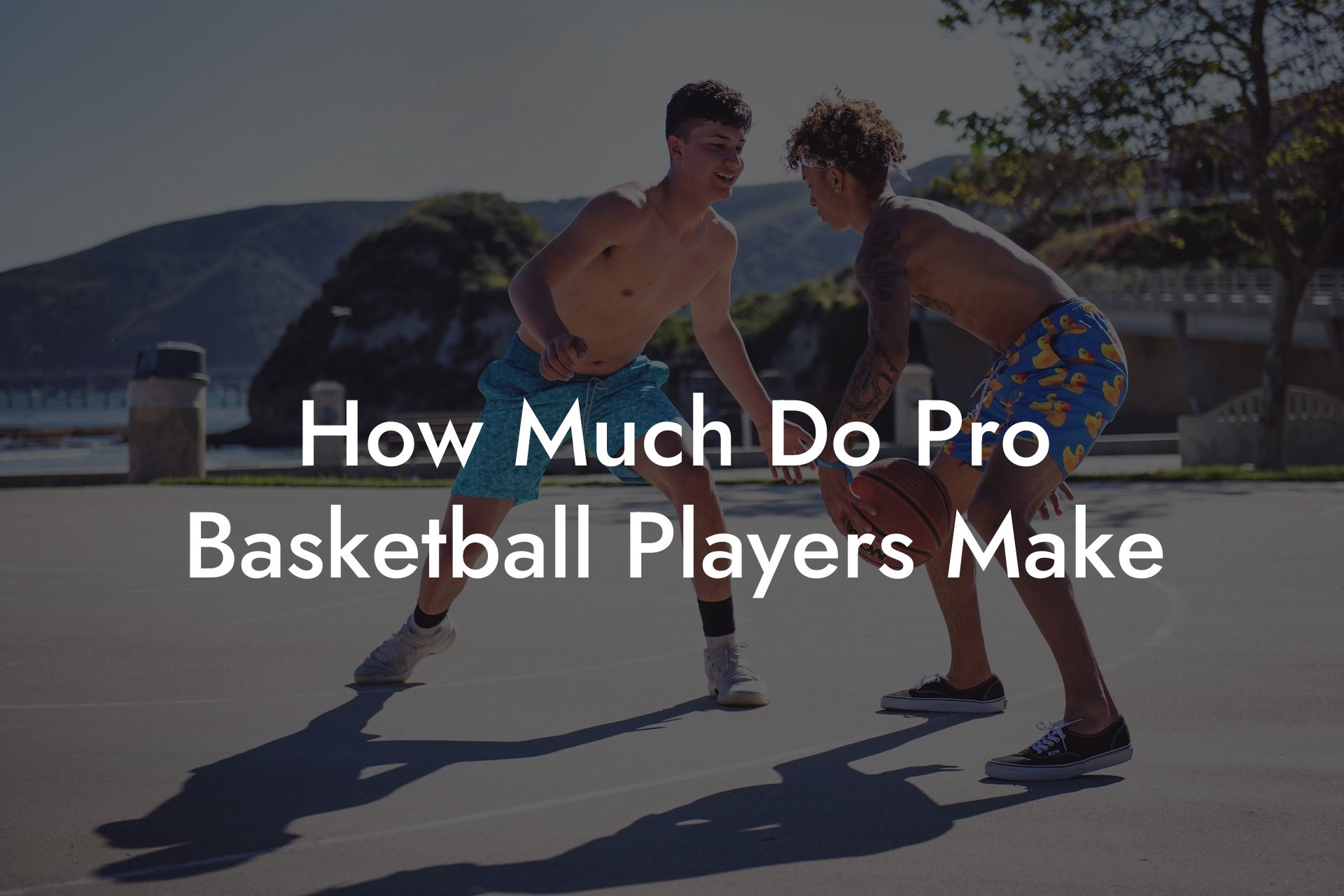 How Much Do Pro Basketball Players Make Coach Alex Basketball