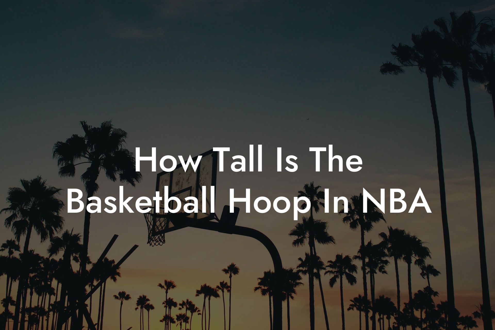 How Tall Is The Basketball Hoop In NBA Coach Alex Basketball