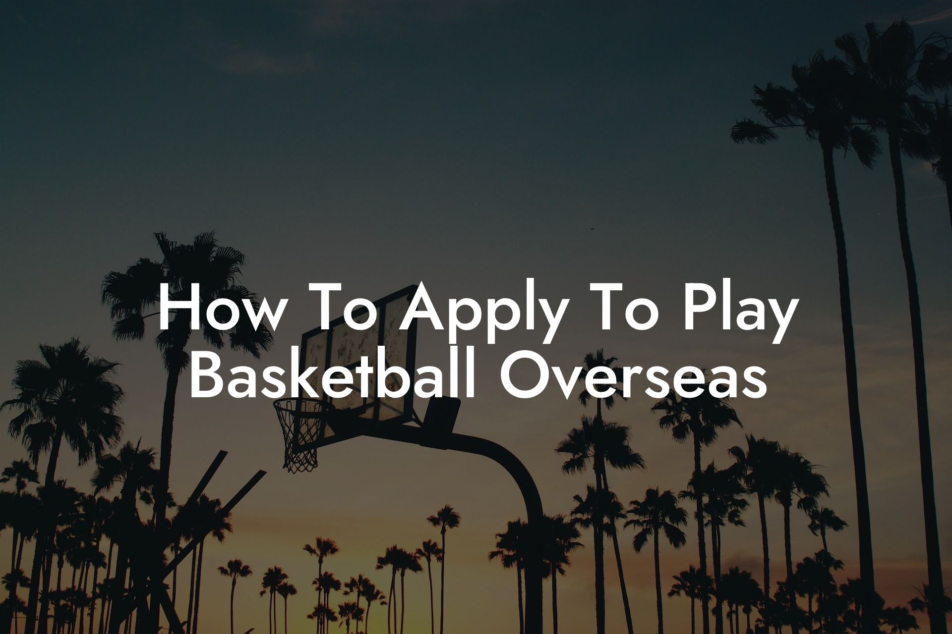 How To Apply To Play Basketball Overseas Coach Alex Basketball