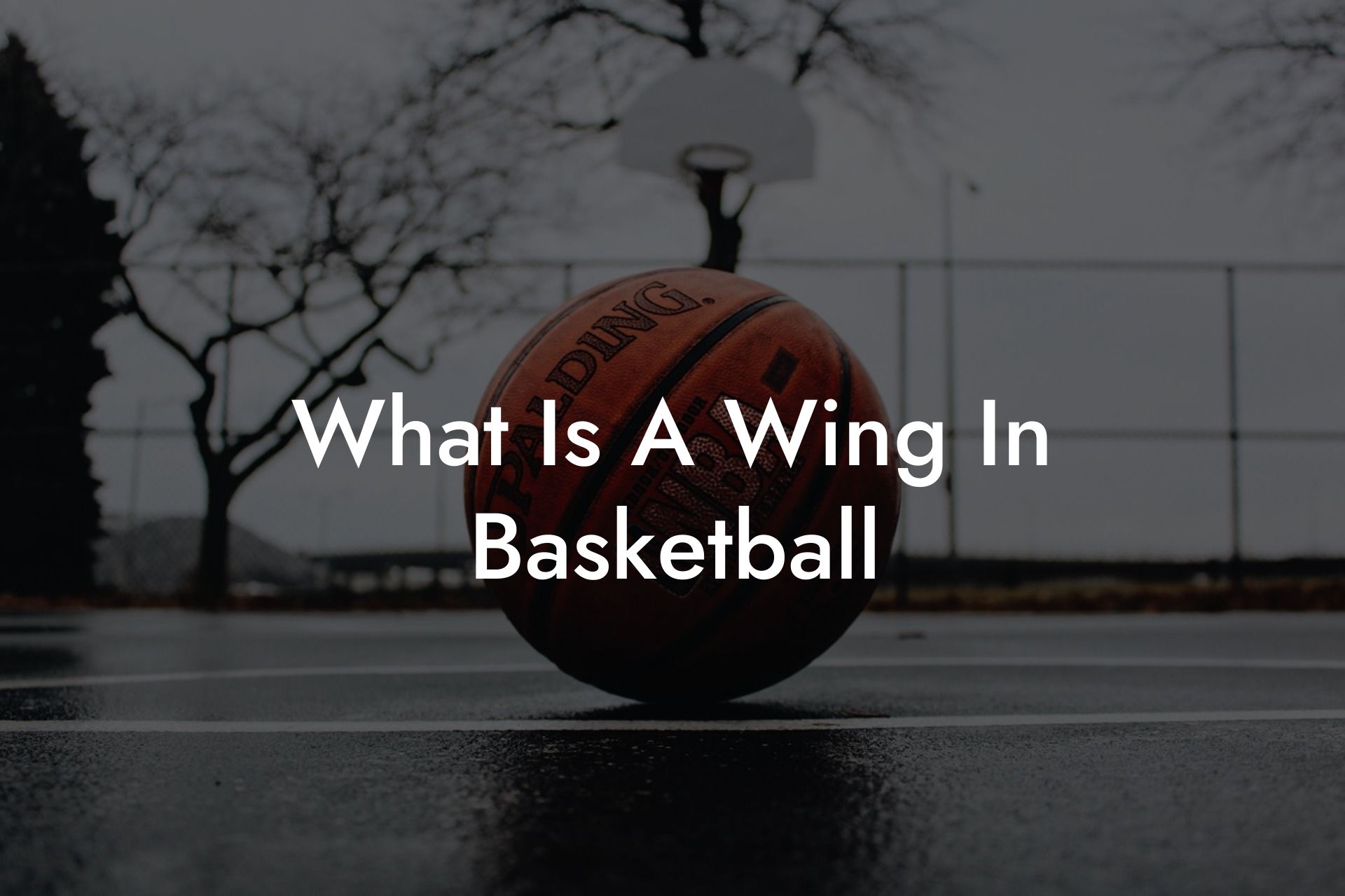 What Is A Wing In Basketball - Coach Alex Basketball